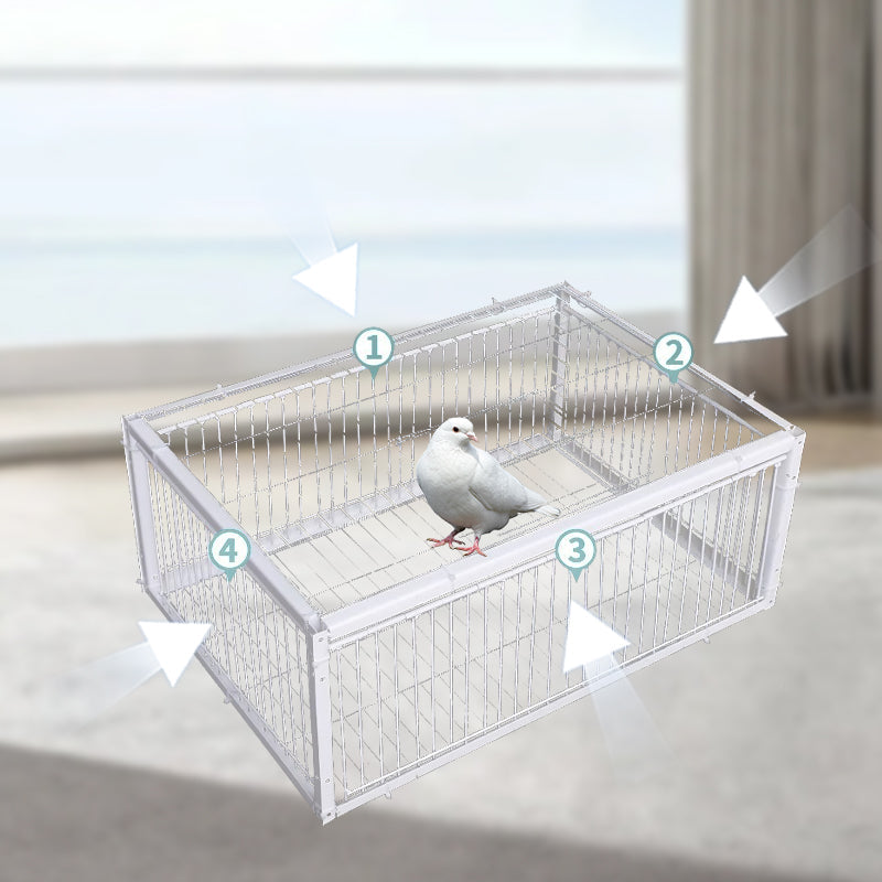 Przyjazna dla zwierząt pułapka na ptaki z zabezpieczeniem przed odrzutem – BirdSafe Trap-2 Wejścia-Trend Polska