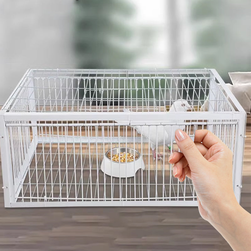 Przyjazna dla zwierząt pułapka na ptaki z zabezpieczeniem przed odrzutem – BirdSafe Trap-2 Wejścia-Trend Polska