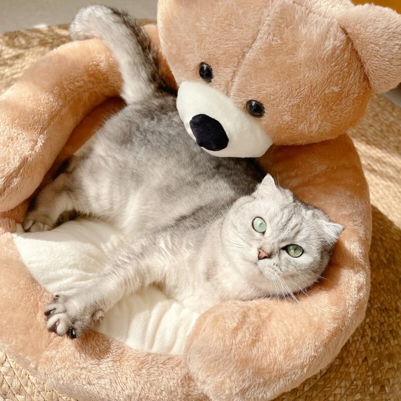 Regulowany Miś Przytulanka - SnuggleBear-Khaki-S-Trend Polska