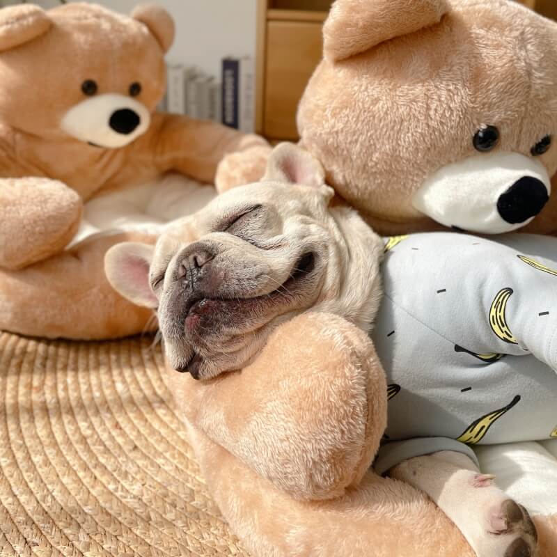 Regulowany Miś Przytulanka - SnuggleBear-Khaki-S-Trend Polska