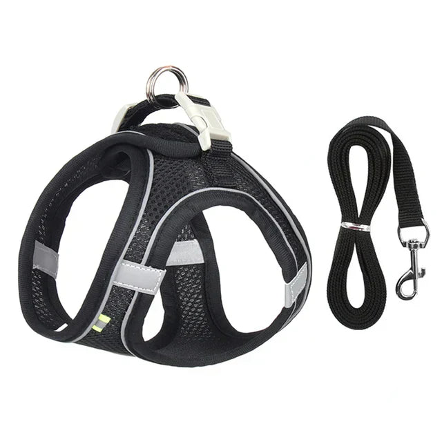 Regulowany szelki dla kota z linką – WhiskerWander-Czarny-XS - 0,5 do 3 kg-Trend Polska