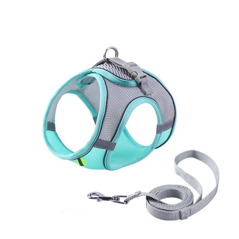 Regulowany szelki dla kota z linką – WhiskerWander-Niebieski-XS - 0,5 do 3 kg-Trend Polska
