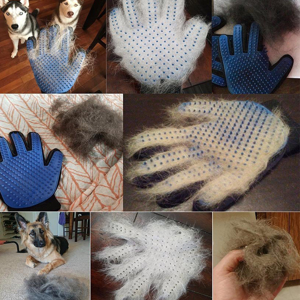 Rękawica do pielęgnacji sierści dla psów i kotów - GroomGlove-Trend Polska