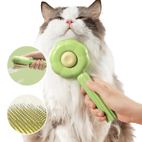 Samooczyszcząca szczotka do kotów - PurrfectBrush-Zielony-Trend Polska