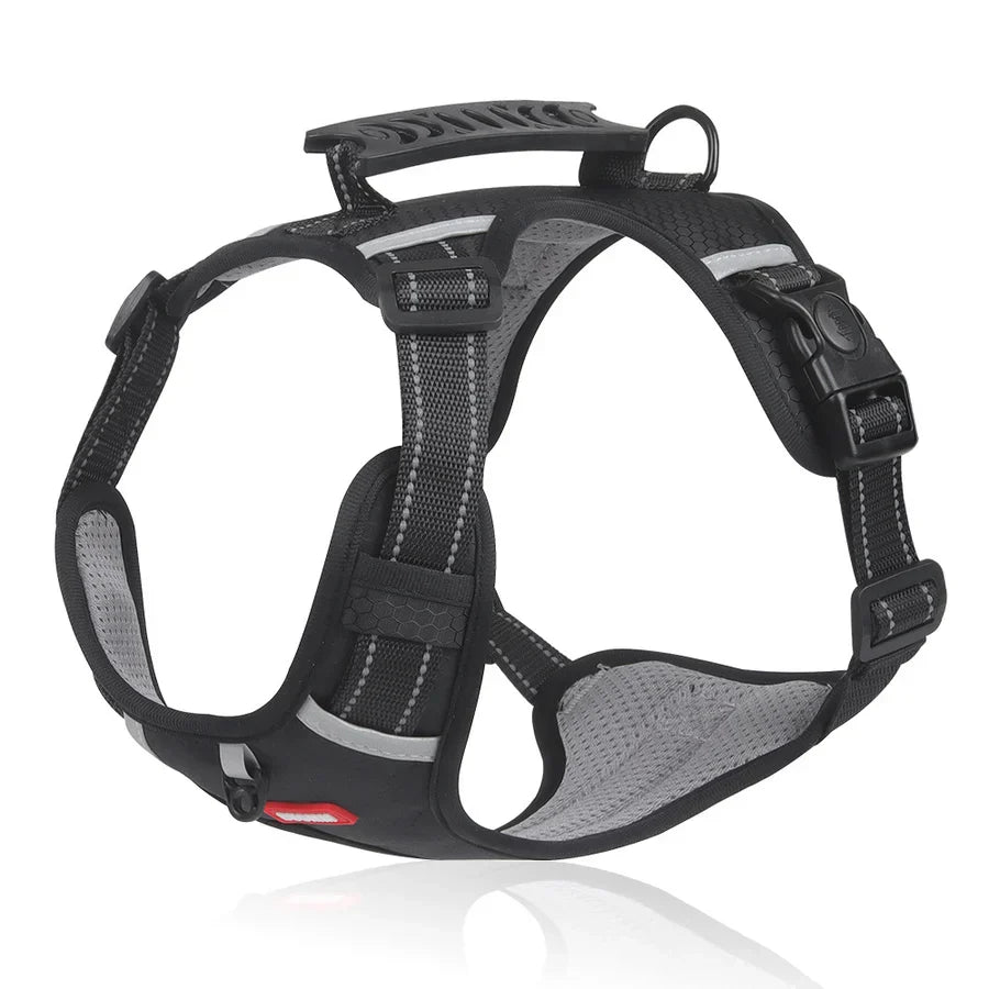 Solidny i komfortowy szelki dla psów - ActivePup™-Czarny-XS-Trend Polska