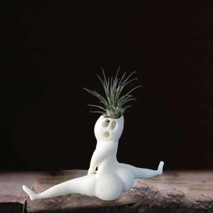 Spookowa forma wyświetlacza roślin powietrznych - SpookyBuddy-Trend Polska