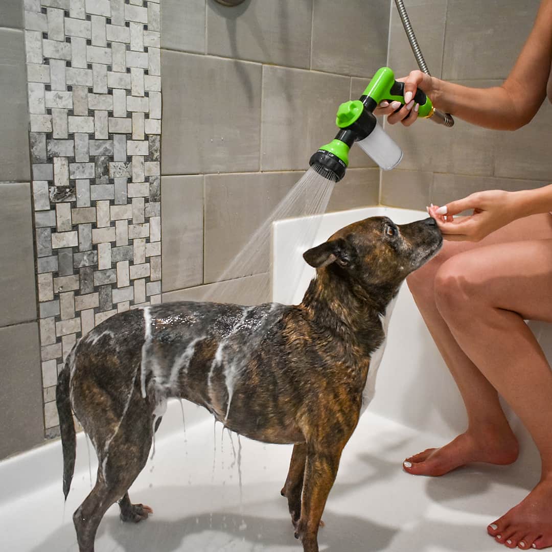 Spryskiwacz do mycia psów - WashBuddy-Niebieski-Trend Polska