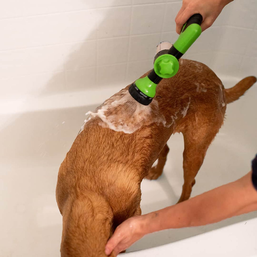 Spryskiwacz do mycia psów - WashBuddy-Niebieski-Trend Polska