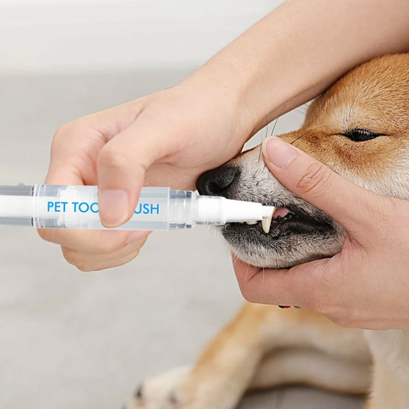 Szczoteczka do zębów dla zwierząt - PetSmile-1 sztuka-Trend Polska