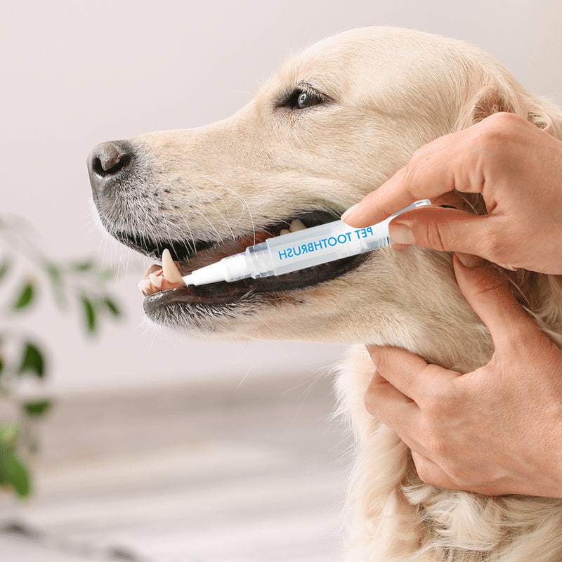 Szczoteczka do zębów dla zwierząt - PetSmile-1 sztuka-Trend Polska