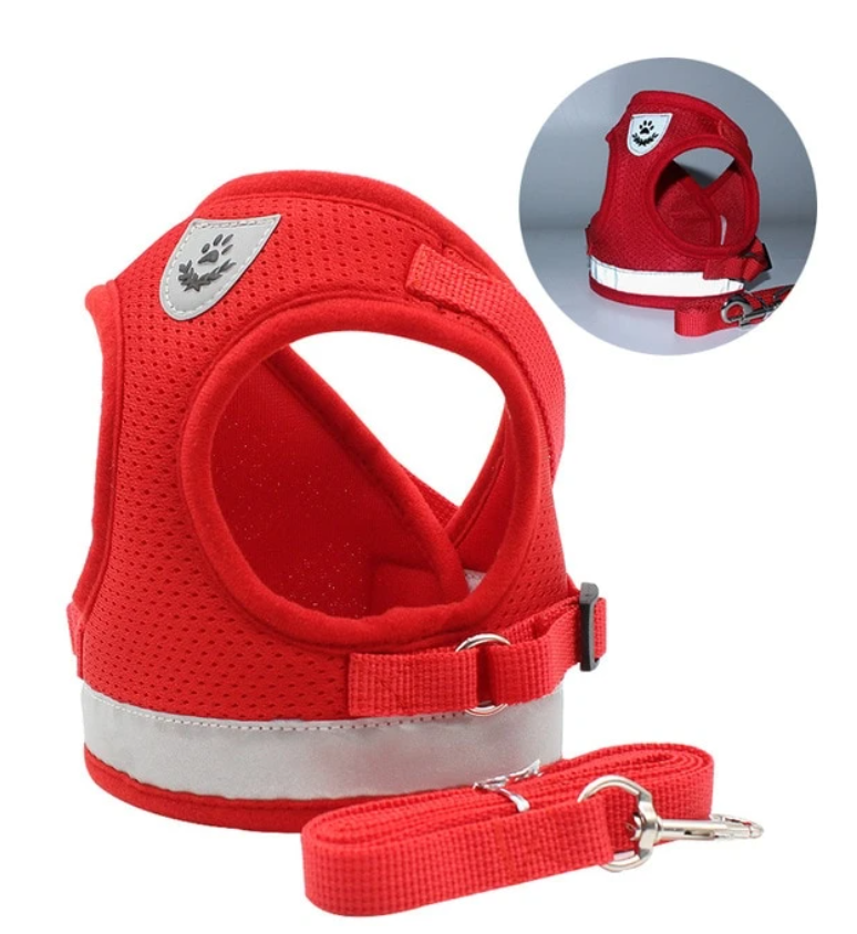 Szelki dla kota z linką - AdventureKit-Czarny-S-Trend Polska