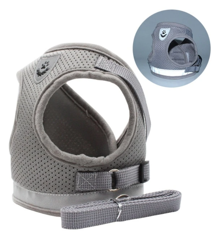 Szelki dla kota z linką - AdventureKit-Czarny-S-Trend Polska