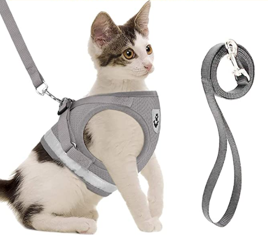Szelki dla kota z linką - AdventureKit-Czarny-S-Trend Polska