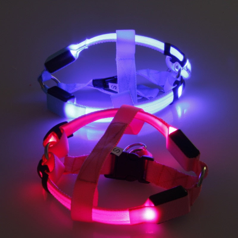 Szelki dla psa z LED - Glow&Go-Niebieski-XS-Trend Polska