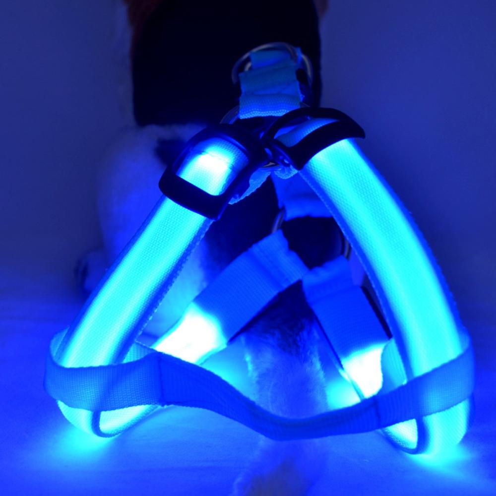 Szelki dla psa z LED - Glow&Go-Niebieski-XS-Trend Polska