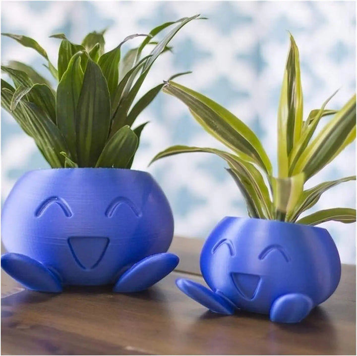 Unikalna doniczka na sukulenty - QuirkyPot-Trend Polska