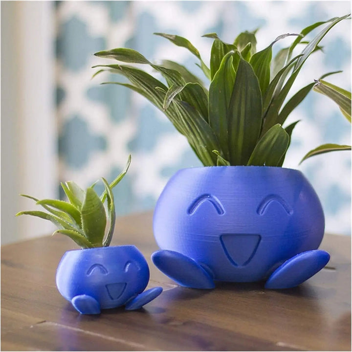 Unikalna doniczka na sukulenty - QuirkyPot-Trend Polska