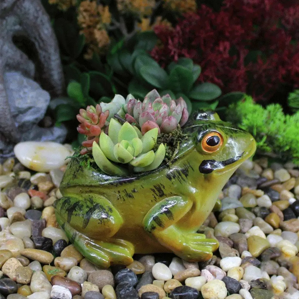 Urocza Roślinna Doniczka - FroggyPot-Trend Polska