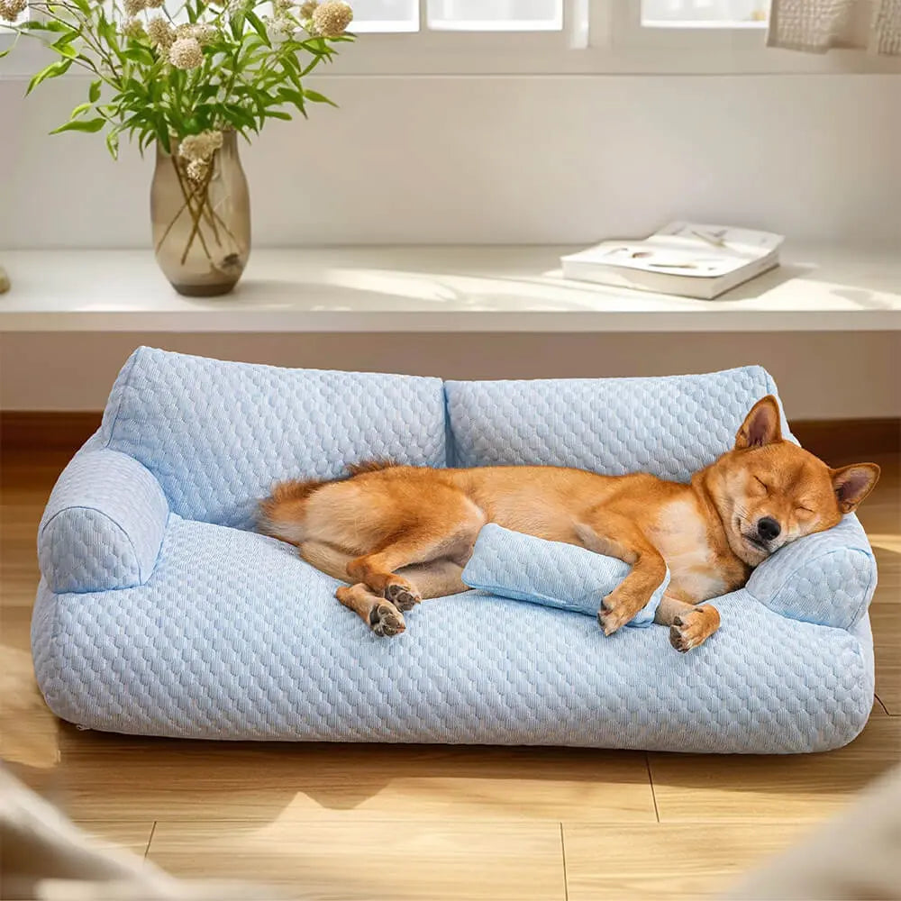 Wasbare poduszka z pluszu dla zwierząt domowych - CozyPaws-Niebieski-L-Trend Polska