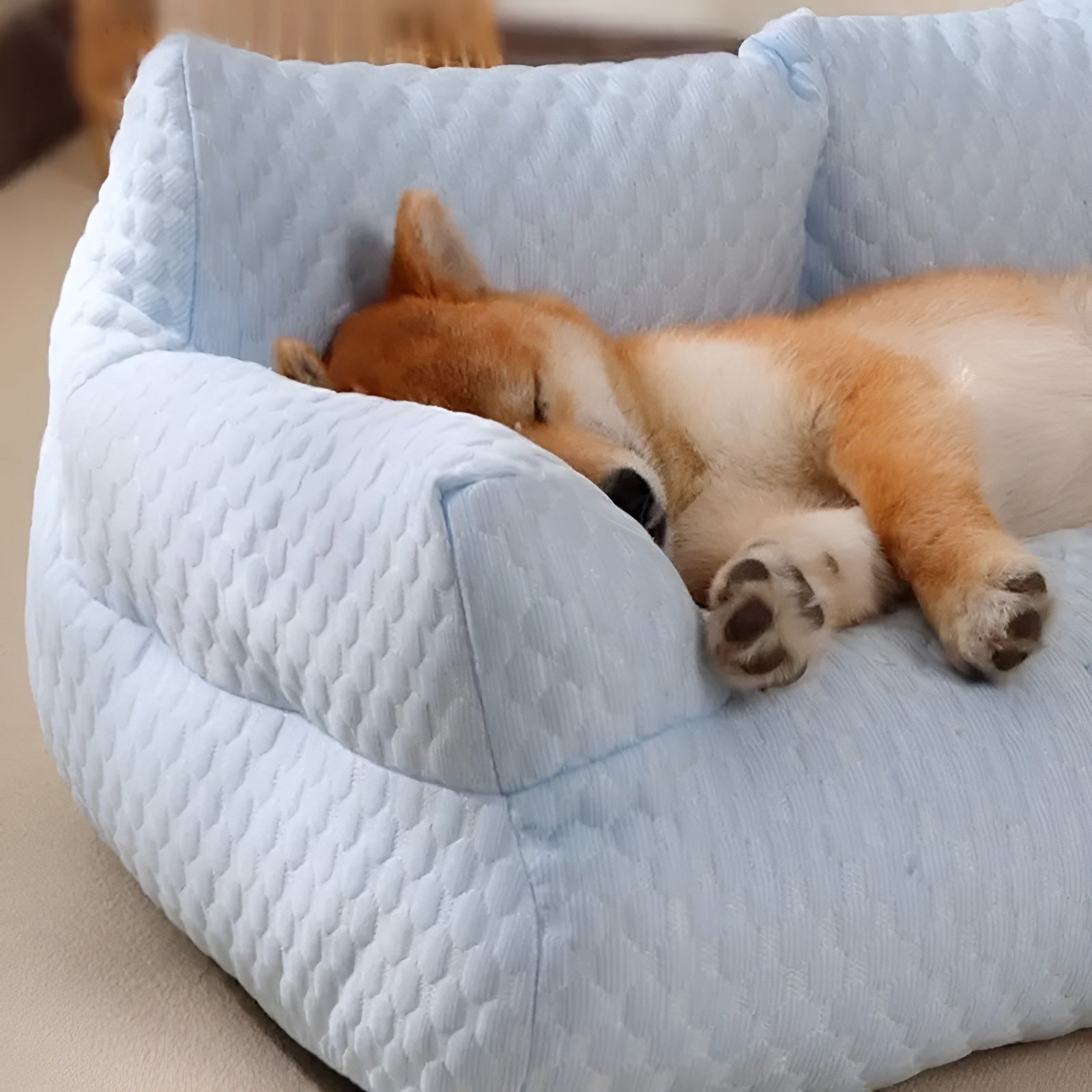 Wasbare poduszka z pluszu dla zwierząt domowych - CozyPaws-Niebieski-M-Trend Polska