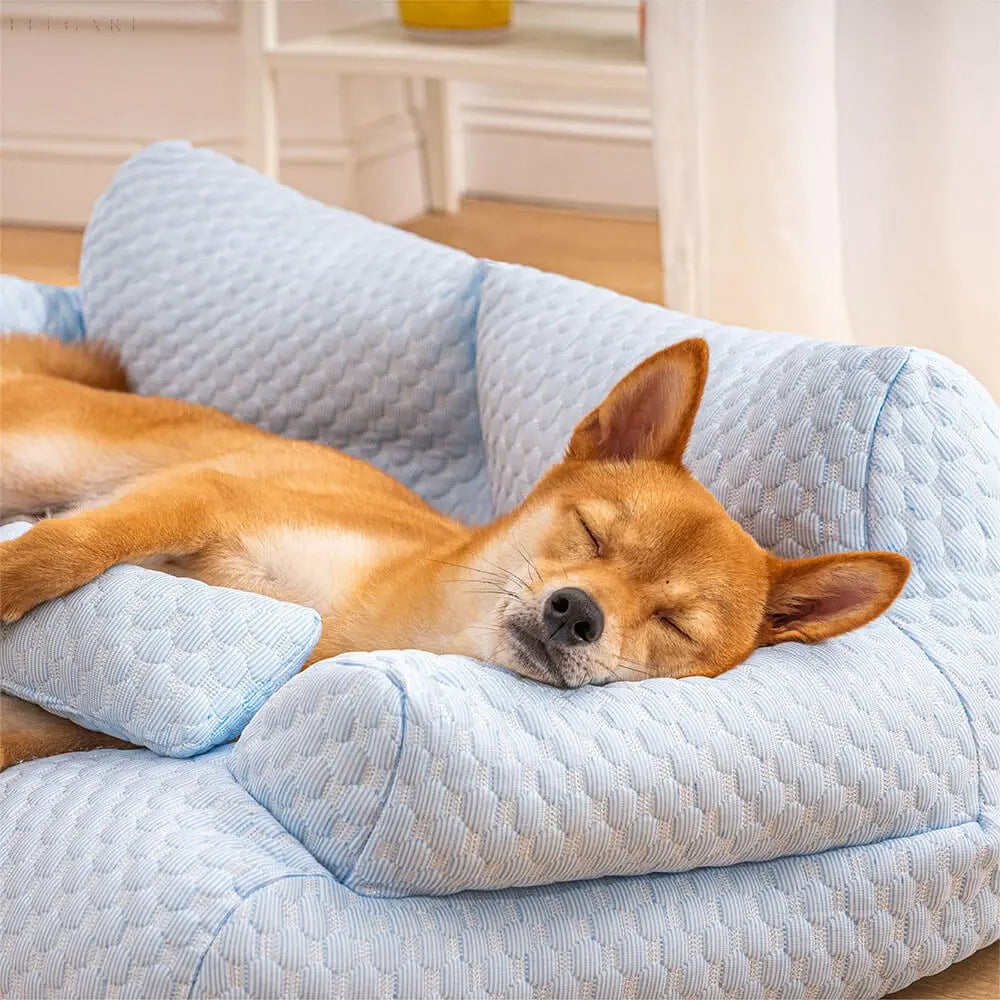 Wasbare poduszka z pluszu dla zwierząt domowych - CozyPaws-Niebieski-M-Trend Polska