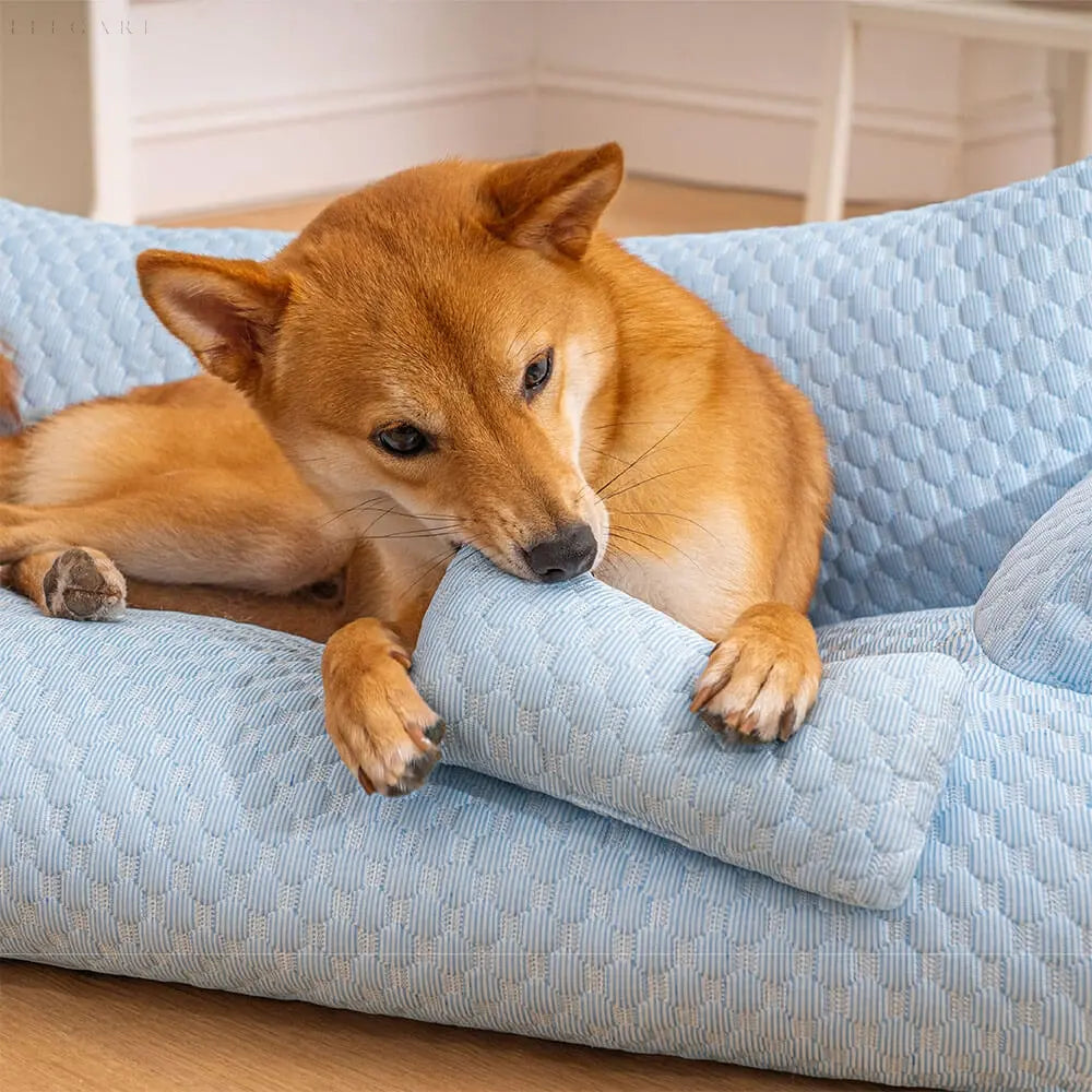 Wasbare poduszka z pluszu dla zwierząt domowych - CozyPaws-Niebieski-M-Trend Polska