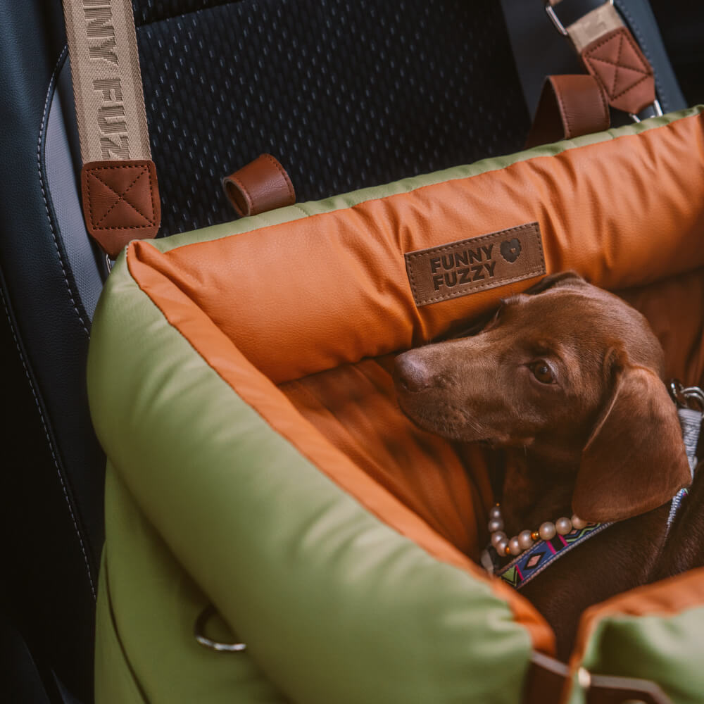 Wygodne siedzenie samochodowe dla psów - PawLuxury-Pomarańczowo-zielony-Trend Polska