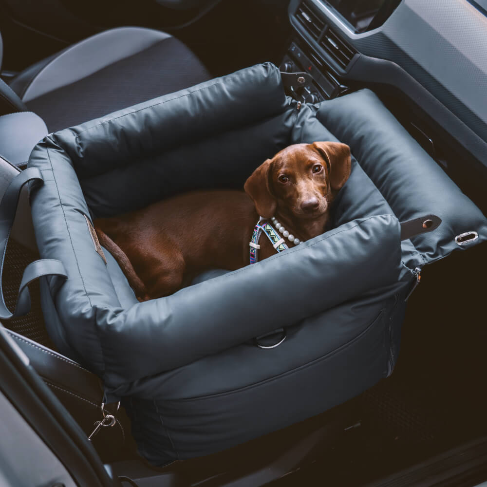 Wygodne siedzenie samochodowe dla psów - PawLuxury-Pomarańczowo-zielony-Trend Polska