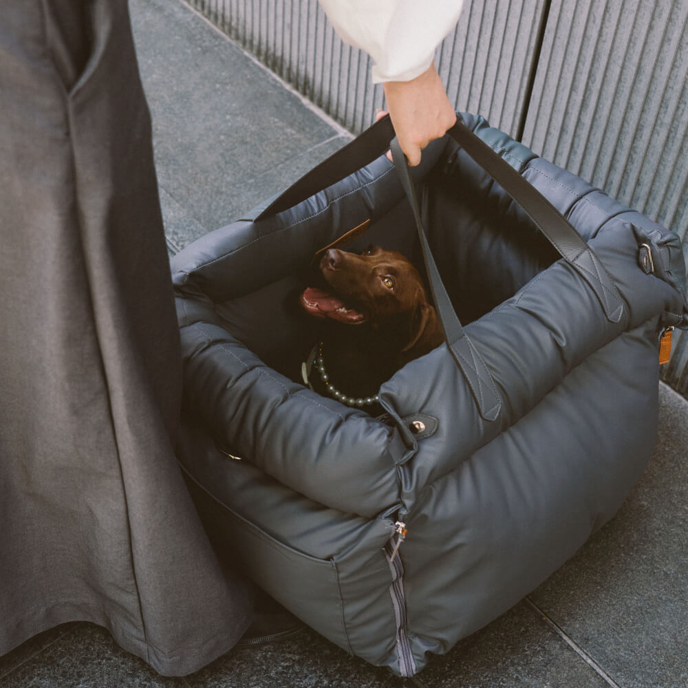Wygodne siedzenie samochodowe dla psów - PawLuxury-Pomarańczowo-zielony-Trend Polska