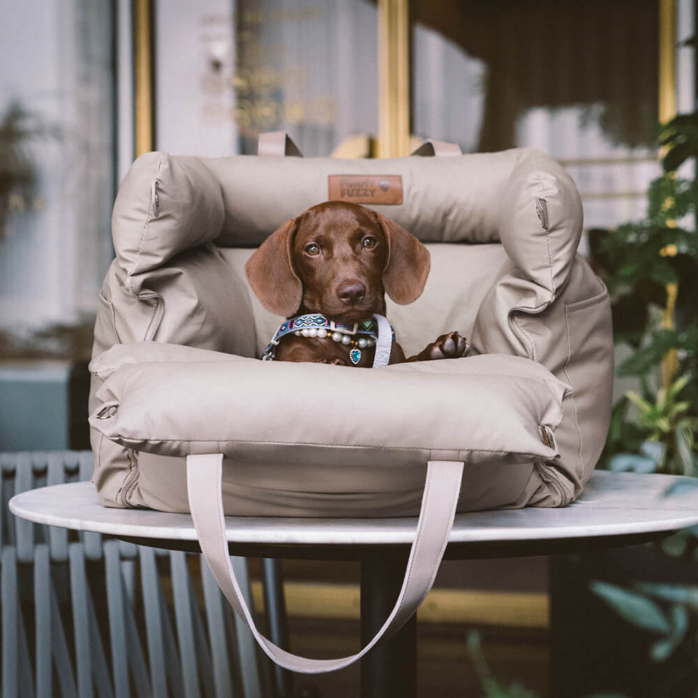 Wygodne siedzenie samochodowe dla psów - PawLuxury-Pomarańczowo-zielony-Trend Polska